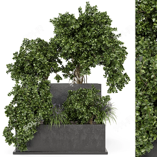 Rustic Outdoor Planter Set in Concrete Pot 3D model image 2