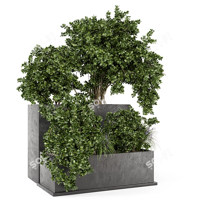 Rustic Outdoor Planter Set in Concrete Pot 3D model image 5