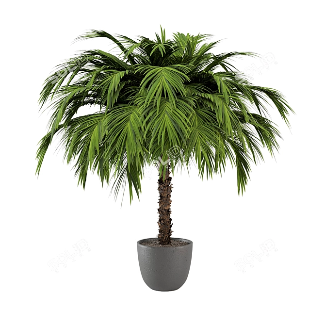 Lush Outdoor Plant Collection 3D model image 4