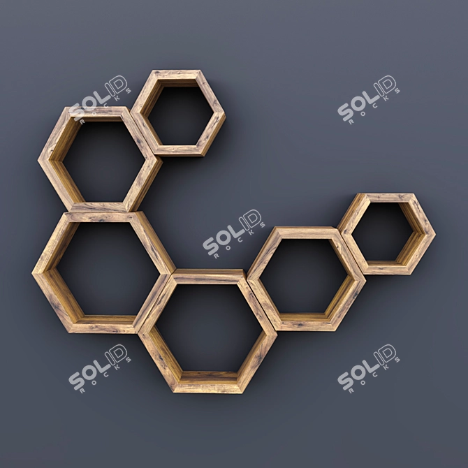 Modular Hexagon Wall Shelf 3D model image 1