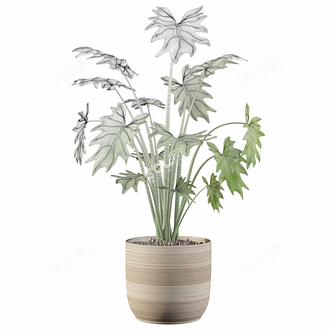 Tropical Beauty: Philodendron Xanadu 3D model image 2