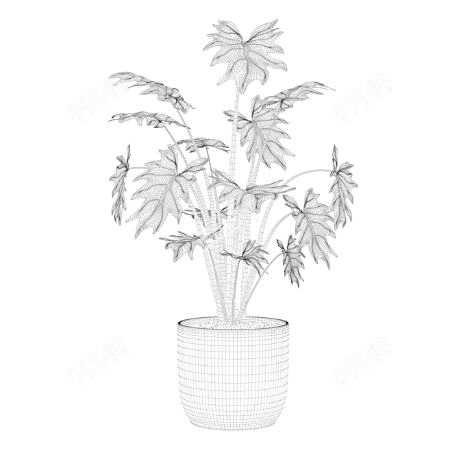 Tropical Beauty: Philodendron Xanadu 3D model image 3