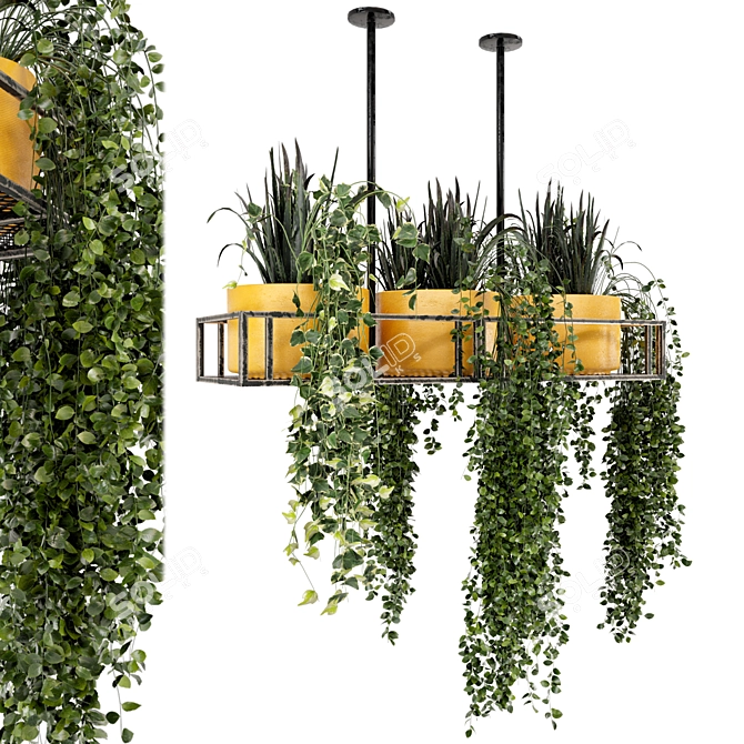 Metal Box Hanging Indoor Plants - Set of 210 3D model image 1