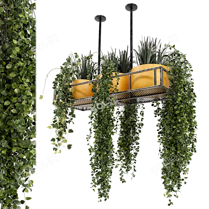 Metal Box Hanging Indoor Plants - Set of 210 3D model image 2