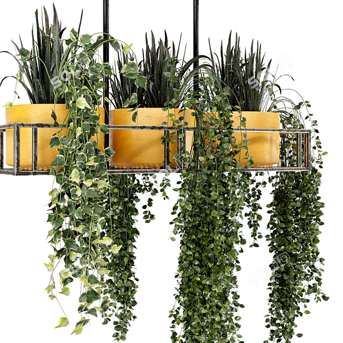 Metal Box Hanging Indoor Plants - Set of 210 3D model image 3