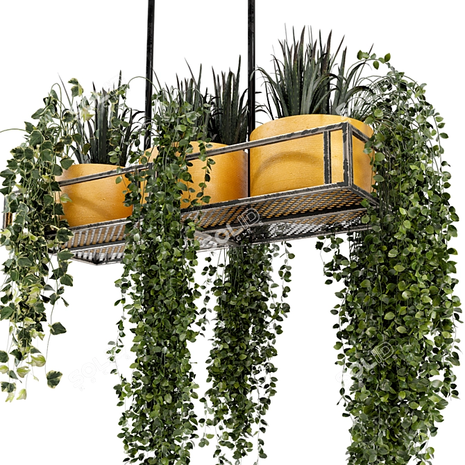 Metal Box Hanging Indoor Plants - Set of 210 3D model image 4