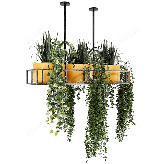 Metal Box Hanging Indoor Plants - Set of 210 3D model image 5