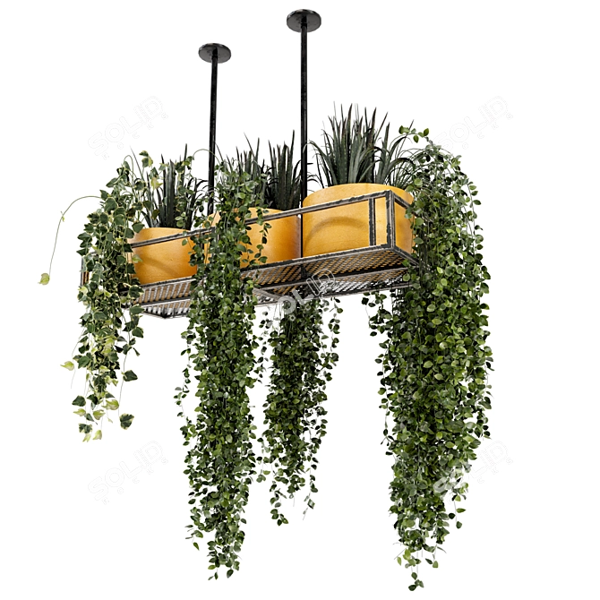 Metal Box Hanging Indoor Plants - Set of 210 3D model image 6