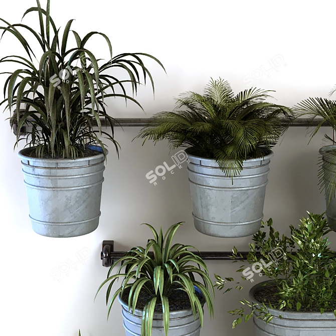 Modern Plant in Vase Set 3D model image 4