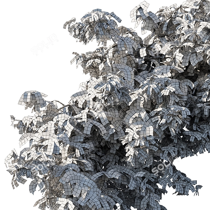 Virginia_Creeper_05: Detailed 3D Plant Model 3D model image 3