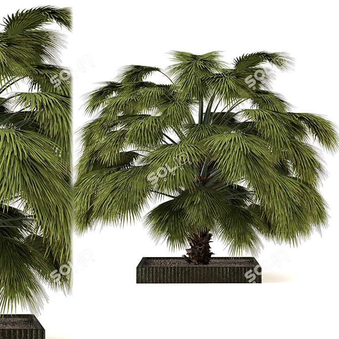 Lushic Greenery Collection 3D model image 3