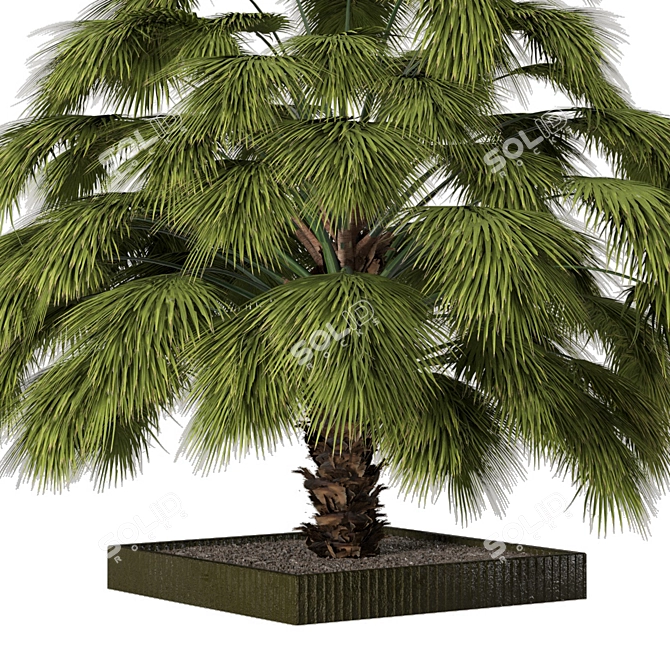 Lushic Greenery Collection 3D model image 4