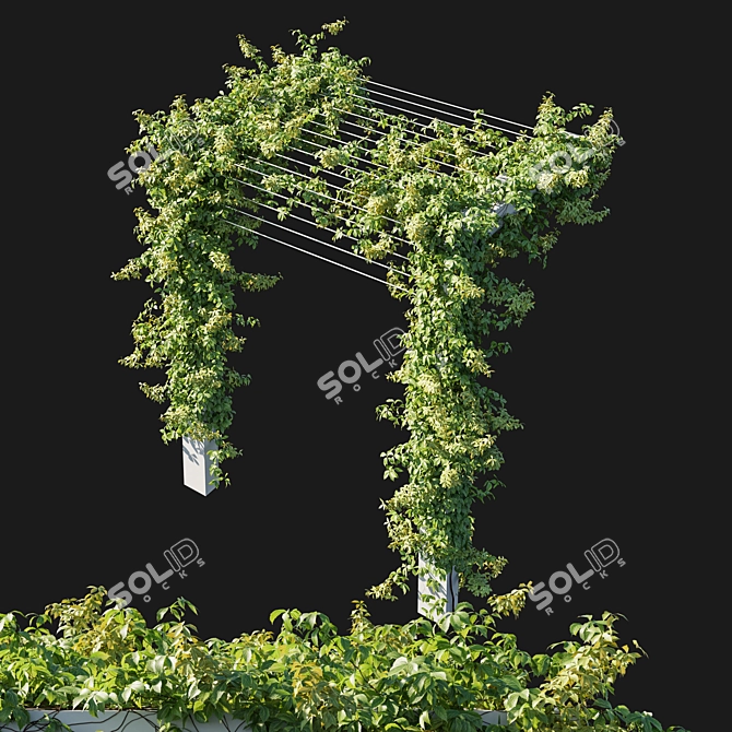 Virginia Creeper 04: 3D Model Rendered in Corona 3D model image 4