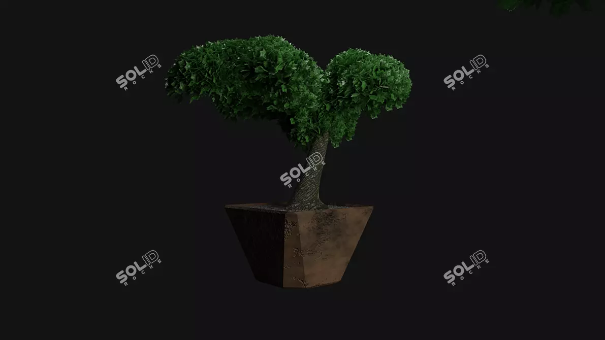 Miniature Bonsai Tree in Pot 3D model image 1