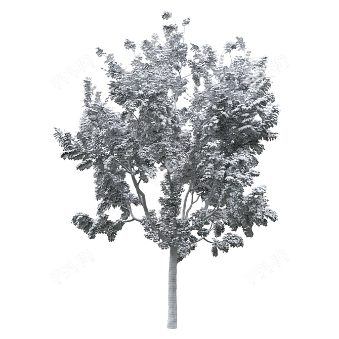 20' Landscape Tree: High Quality Poly & Verts, Corona Render 3D model image 4