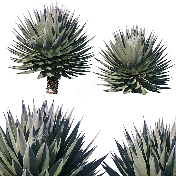 Agave Blue Glow: Stunning 2013 Design 3D model image 1