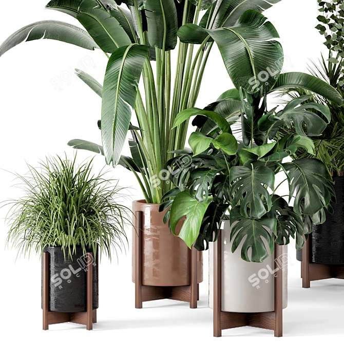 Wooden Pot Indoor Plant Set 3D model image 3