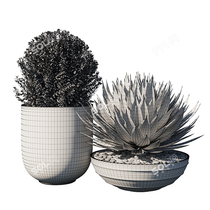 Exquisite Pot Plant Set 3D model image 3