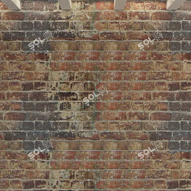  Authentic Vintage Brick Wall 3D model image 2