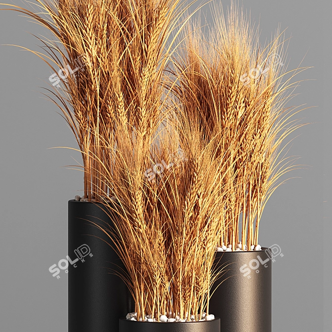 Indoor Zen Wheat Plant Set 3D model image 4