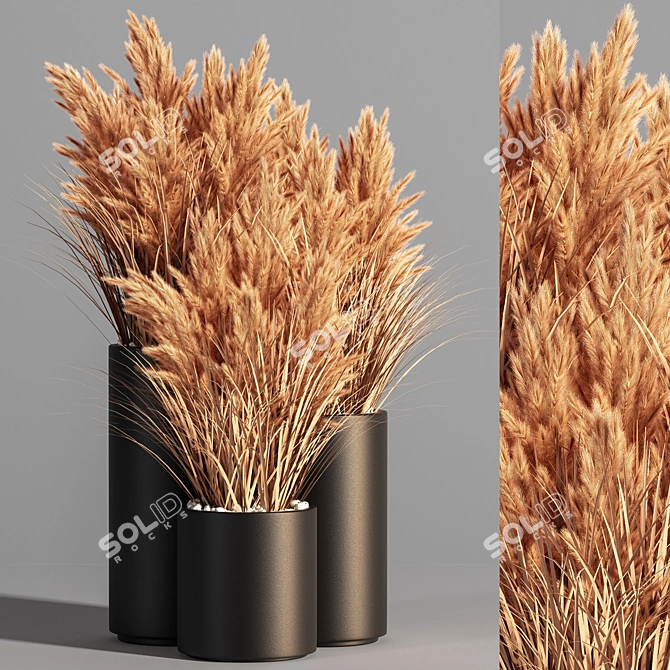 Pampas Indoor Plant Set 3D model image 1