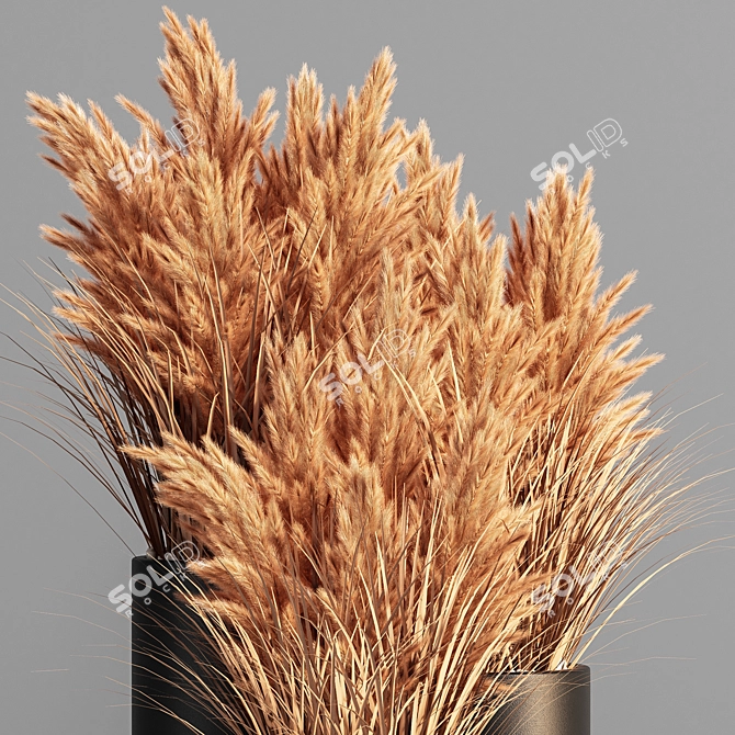 Pampas Indoor Plant Set 3D model image 2