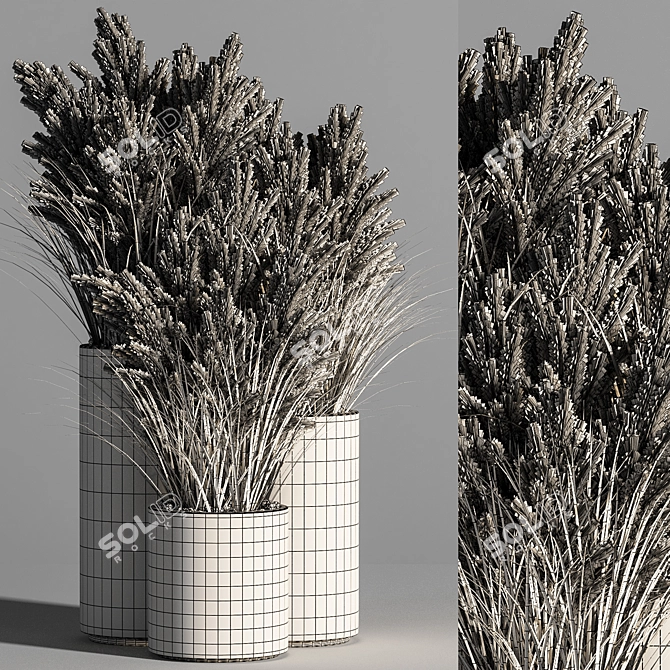 Pampas Indoor Plant Set 3D model image 4