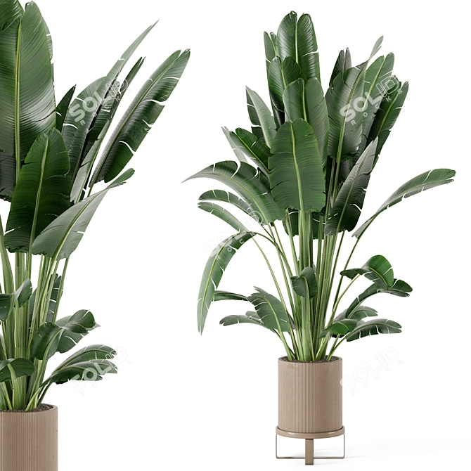 Ferm Living Bau Pot: Set of Large Indoor Plants 3D model image 1