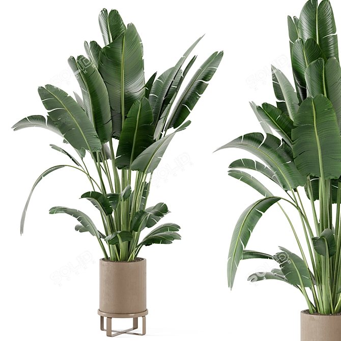 Ferm Living Bau Pot: Set of Large Indoor Plants 3D model image 2