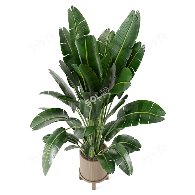 Ferm Living Bau Pot: Set of Large Indoor Plants 3D model image 3