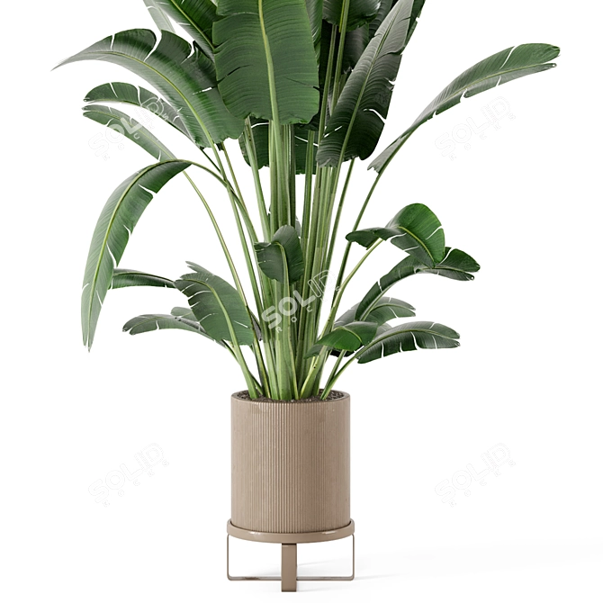 Ferm Living Bau Pot: Set of Large Indoor Plants 3D model image 4