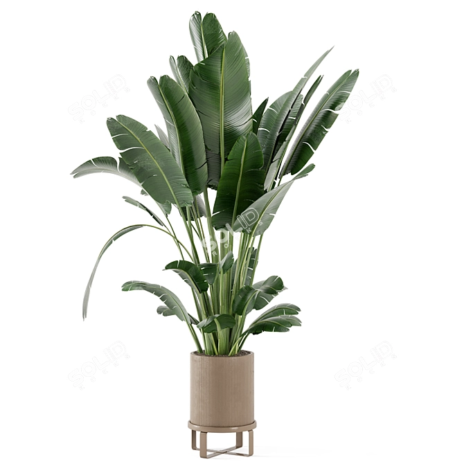 Ferm Living Bau Pot: Set of Large Indoor Plants 3D model image 6