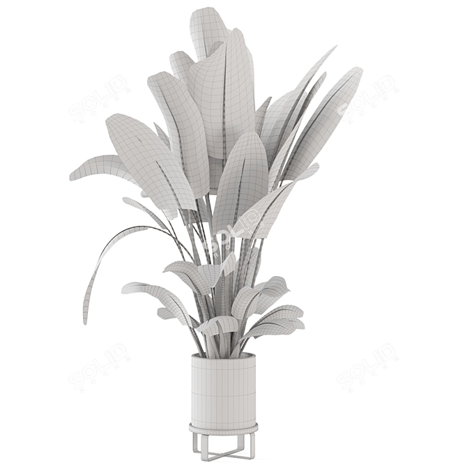 Ferm Living Bau Pot: Set of Large Indoor Plants 3D model image 7