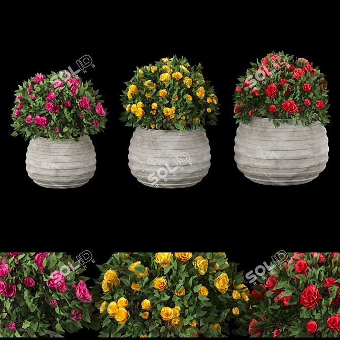 Colorful Blooming Bush Collection 3D model image 1