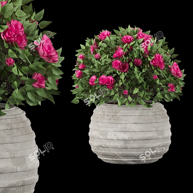 Colorful Blooming Bush Collection 3D model image 2