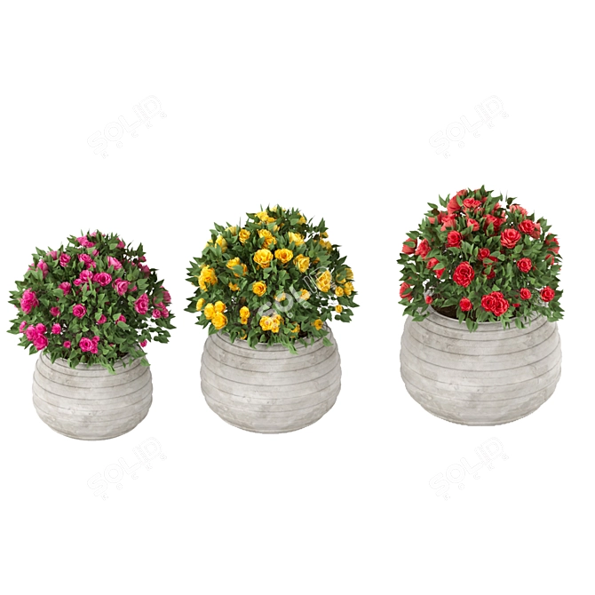 Colorful Blooming Bush Collection 3D model image 5