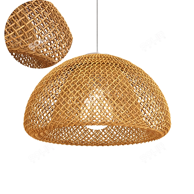 Rattan Light Fixture: Modern Design, Multi-Functional 3D model image 1