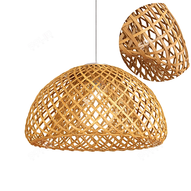 Rattan Light Fixture: Modern Design, Multi-Functional 3D model image 2