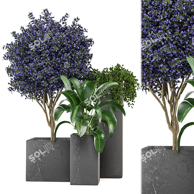 2015 Outdoor Plants Set: V-Ray/Corona 3D model image 2