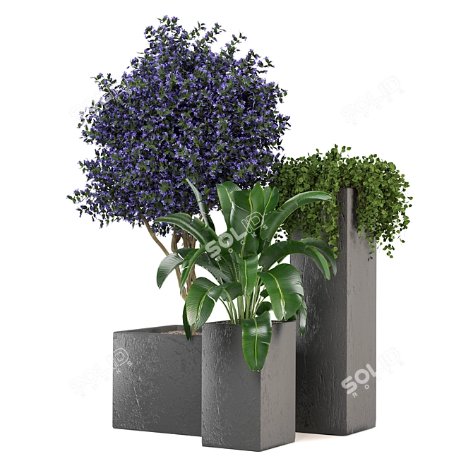 2015 Outdoor Plants Set: V-Ray/Corona 3D model image 3