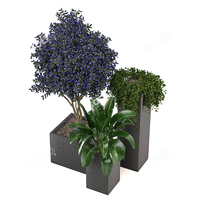 2015 Outdoor Plants Set: V-Ray/Corona 3D model image 5