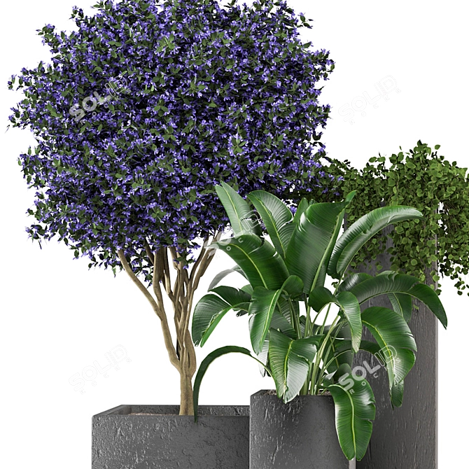 2015 Outdoor Plants Set: V-Ray/Corona 3D model image 6