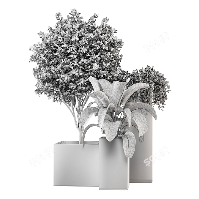 2015 Outdoor Plants Set: V-Ray/Corona 3D model image 7