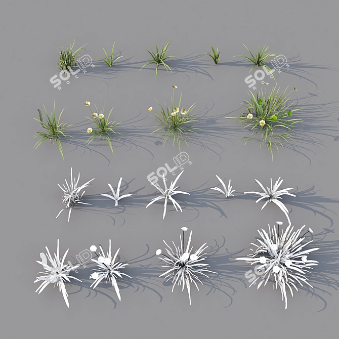 Lush Landscape Grass 16 3D model image 4