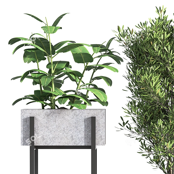 Nature's Oasis: Indoor Plant Set 3D model image 2