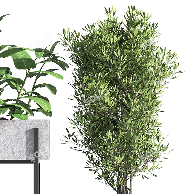 Nature's Oasis: Indoor Plant Set 3D model image 3