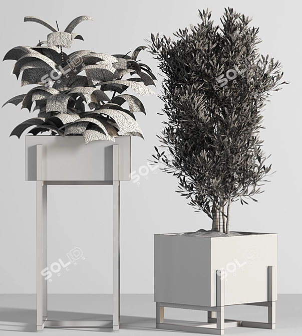 Nature's Oasis: Indoor Plant Set 3D model image 5