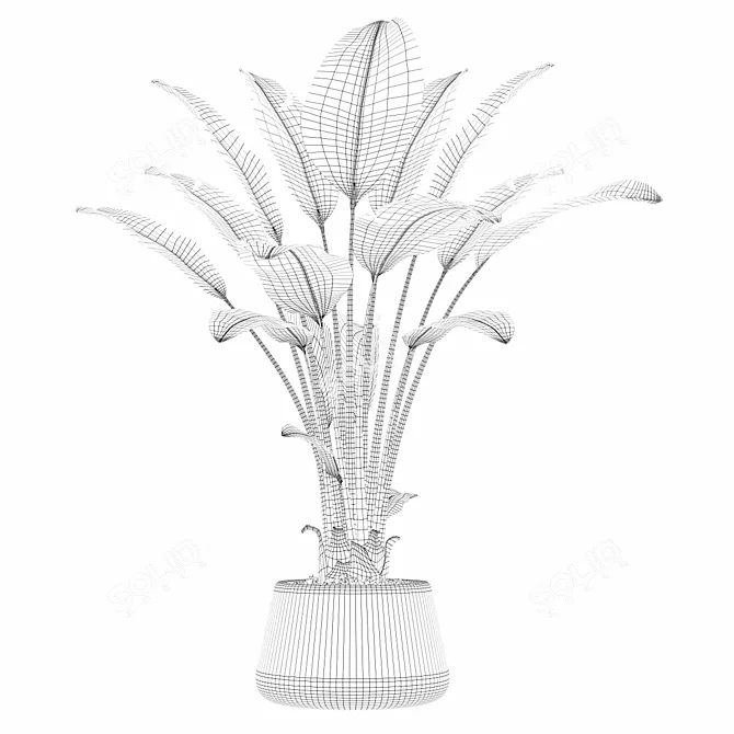 Tropical Paradise: Strelitzia Blast 3D model image 4