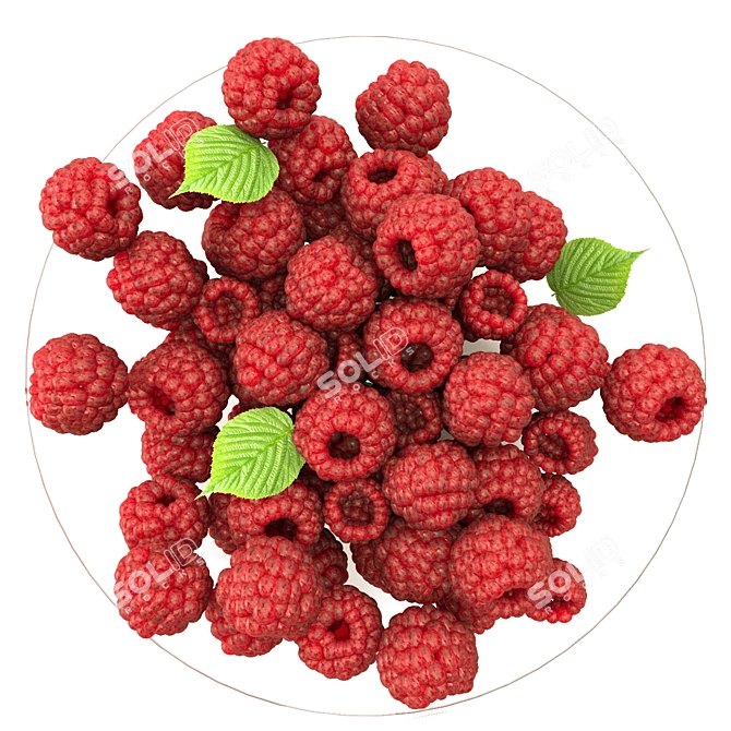 Raspberry Delight: Fresh and Juicy! 3D model image 3