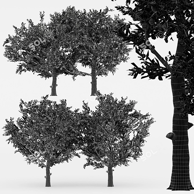 Variety Pack: 5 Different White Birch Trees 3D model image 4